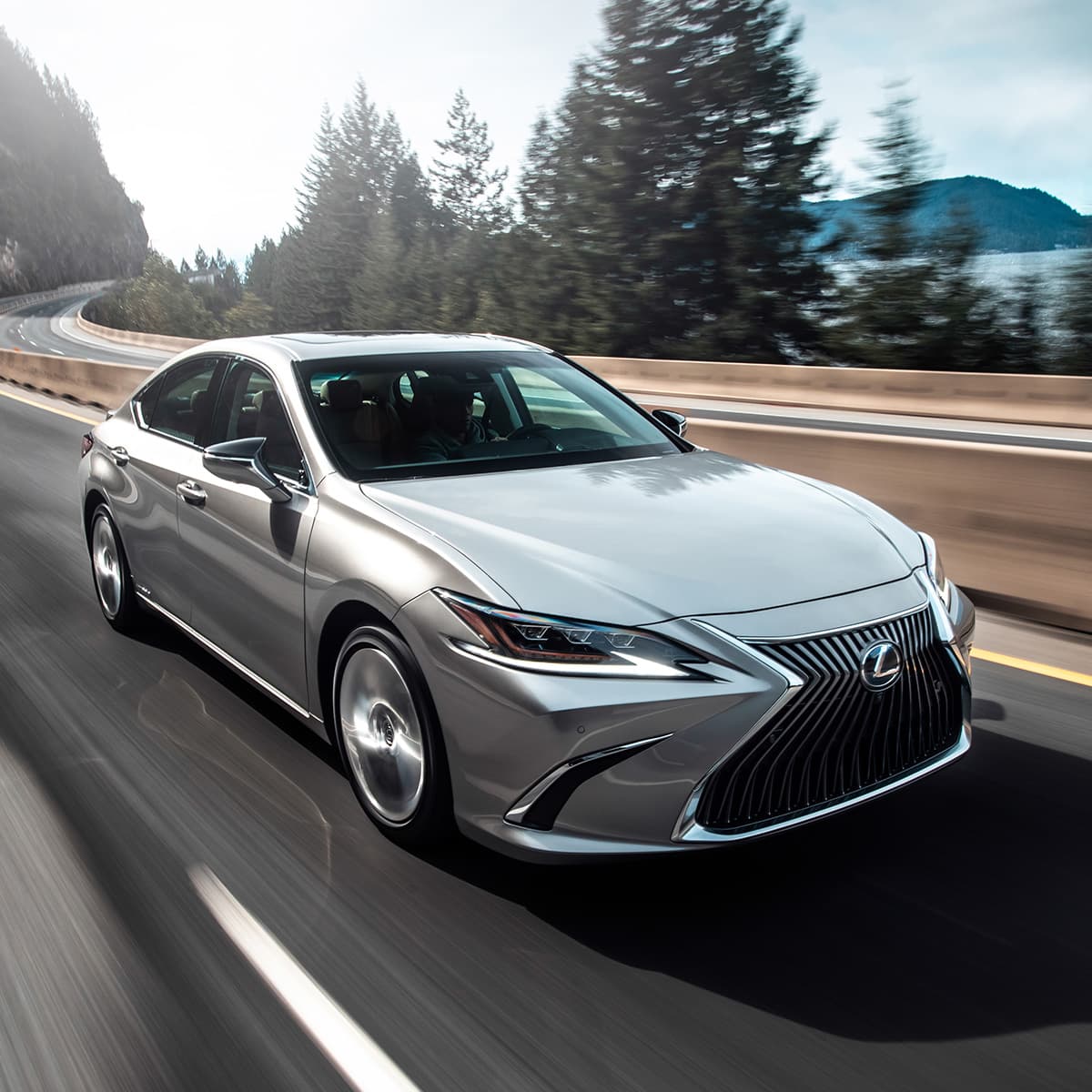 Lexus India | Luxury & Hybrid Cars | Experience Amazing